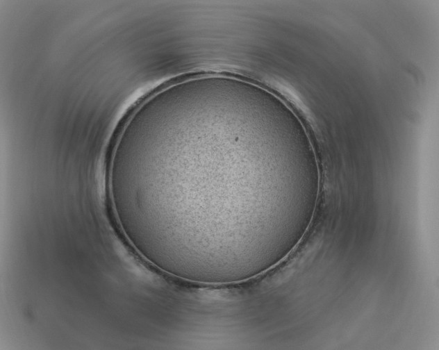 X0000113901032200910081825