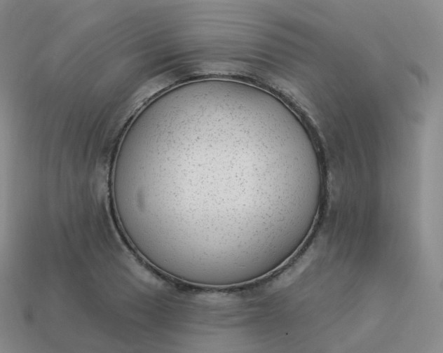 X0000113901033200910081825