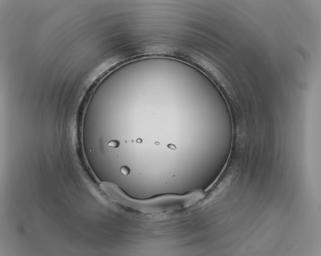 X0000113901034200910081825