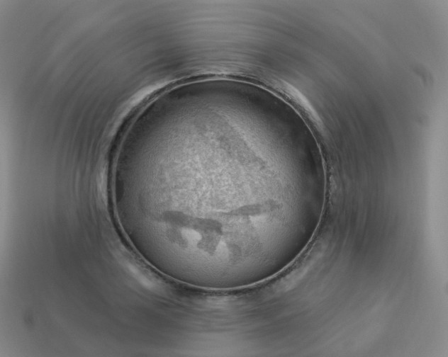 X0000113901035200910081825