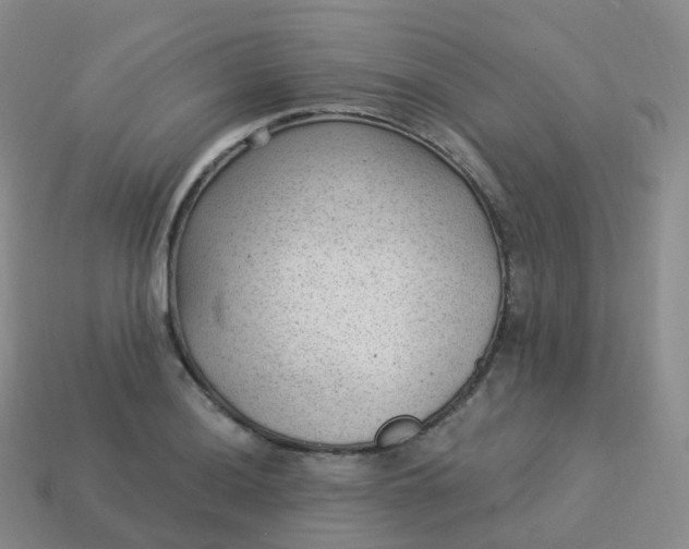 X0000113901036200910081825