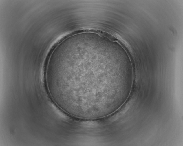 X0000113901037200910081825