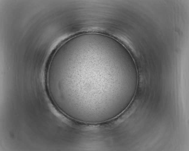 X0000113901038200910081825