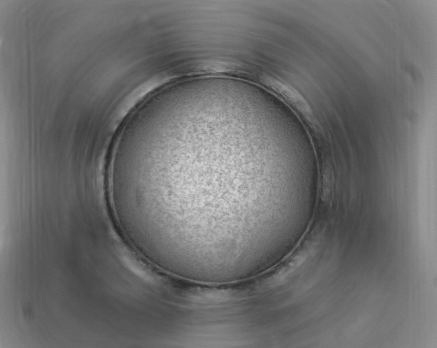 X0000113901039200910081825