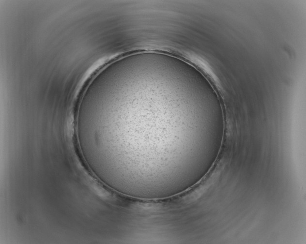 X0000113901040200910081825