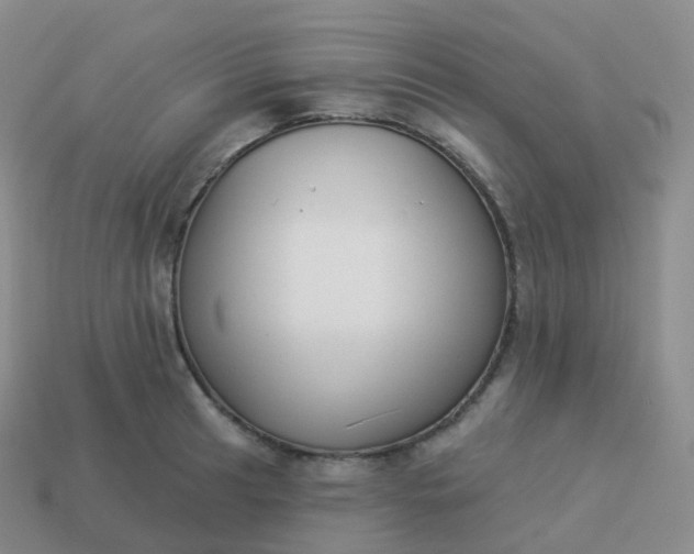 X0000113901041200910081825