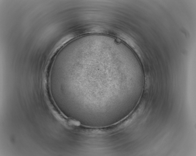 X0000113901042200910081825