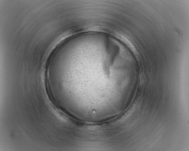 X0000113901043200910081825