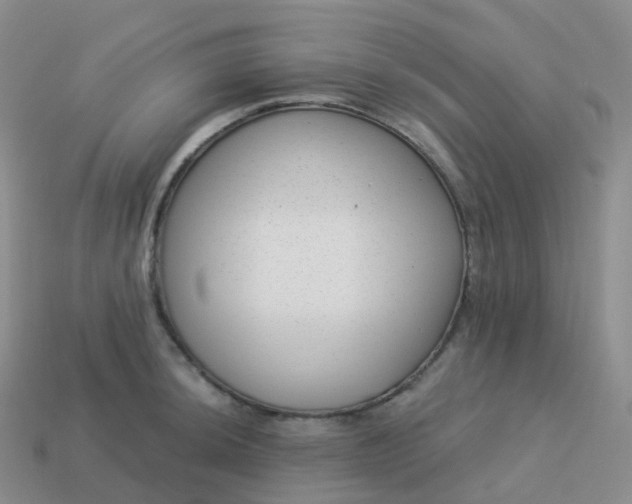 X0000113901044200910081825