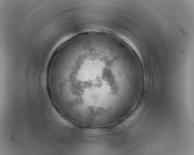 X0000113901045200910081825