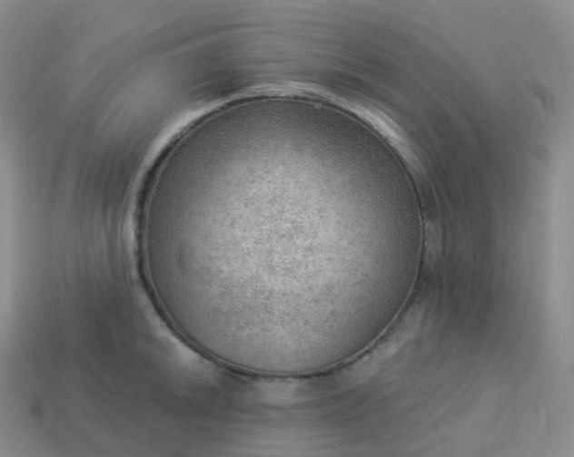 X0000113901046200910081825