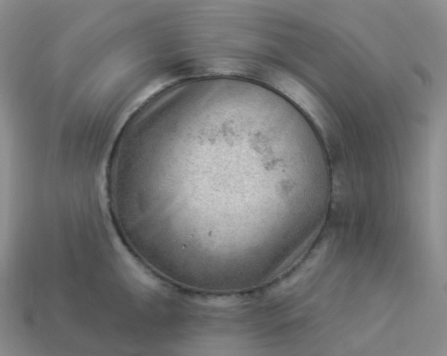 X0000113901047200910081825