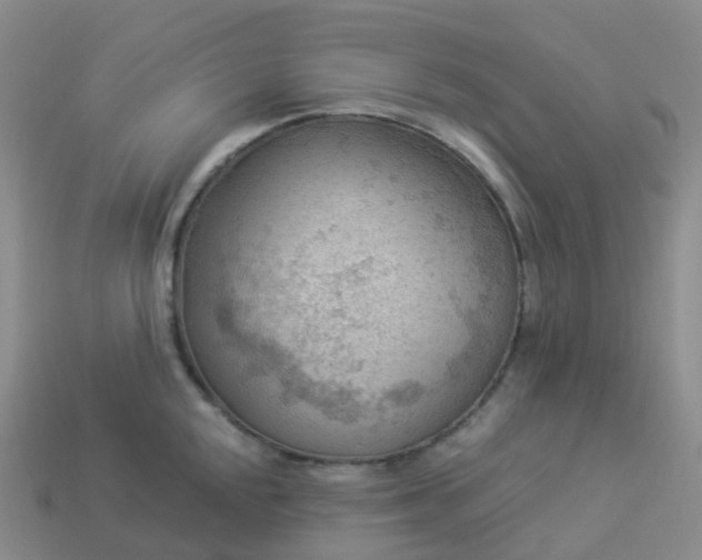 X0000113901048200910081825