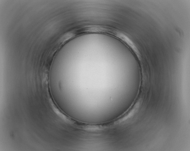 X0000113901049200910081825