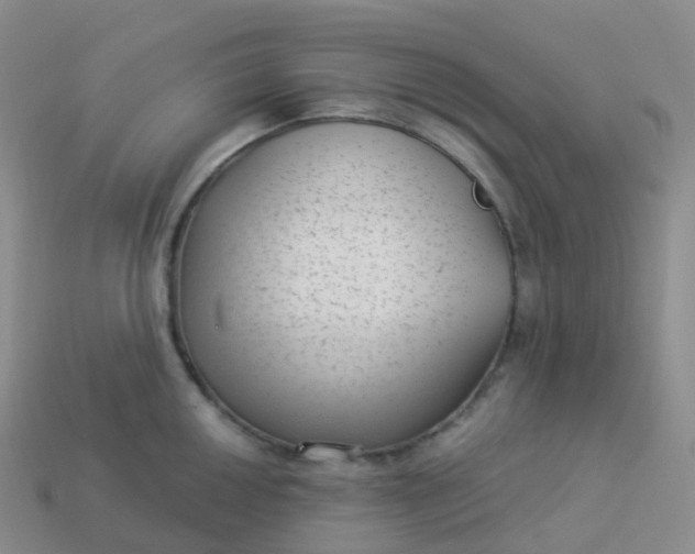 X0000113901050200910081825