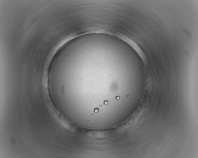 X0000113901051200910081825