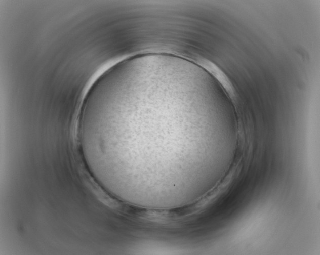 X0000113901052200910081825