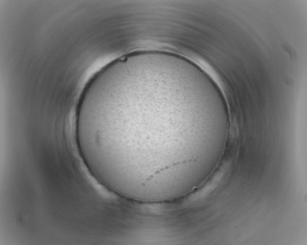 X0000113901053200910081825