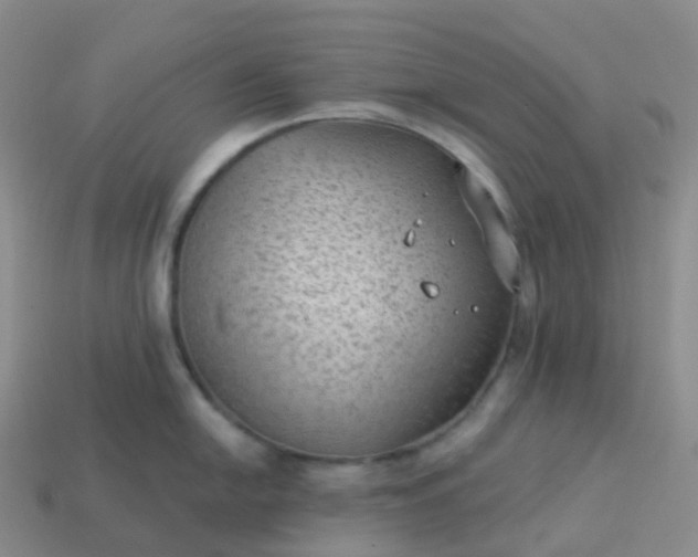 X0000113901054200910081825