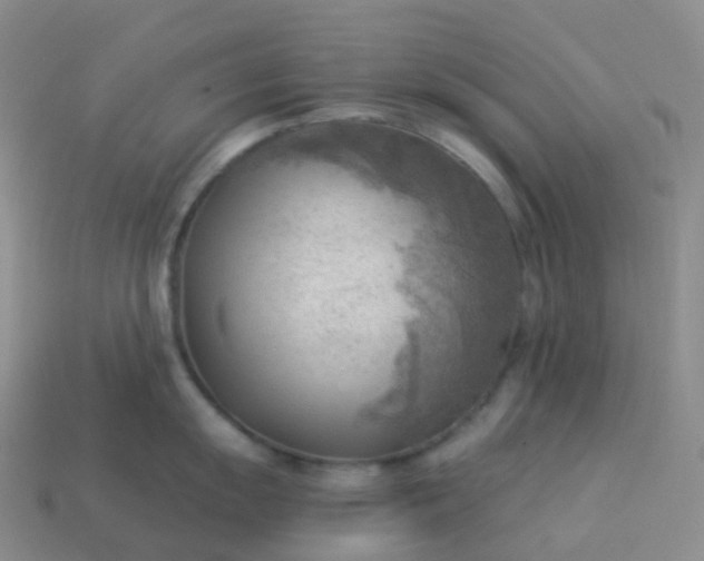 X0000113901055200910081825