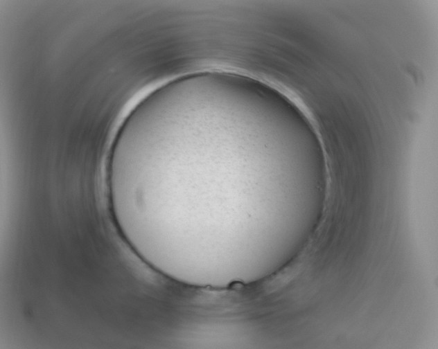 X0000113901056200910081825