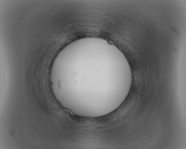 X0000113901057200910081825