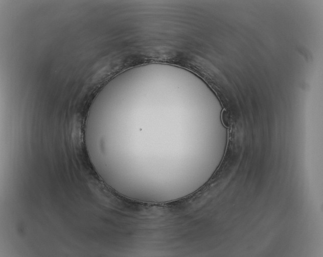 X0000113901058200910081825