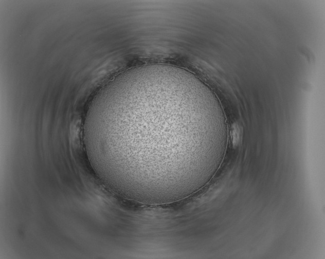 X0000113901059200910081825