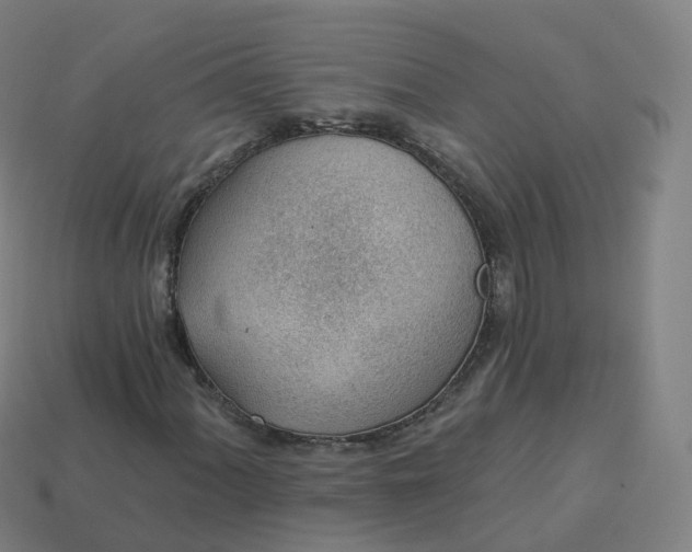 X0000113901060200910081825