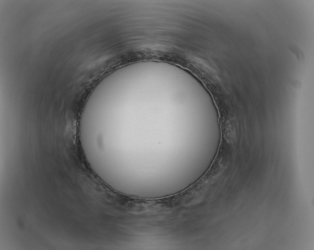 X0000113901061200910081825