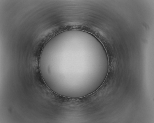 X0000113901062200910081825