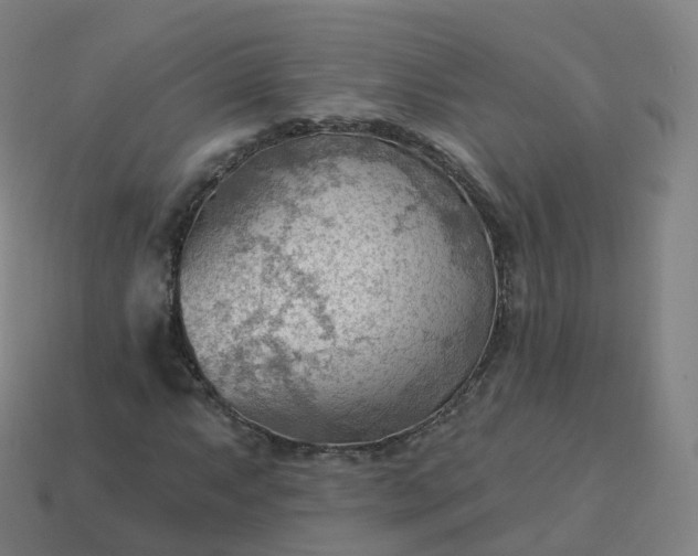 X0000113901063200910081825