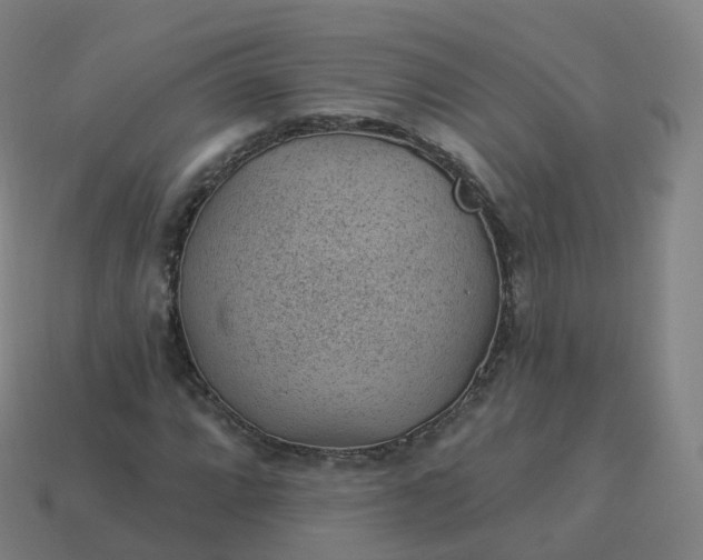 X0000113901064200910081825