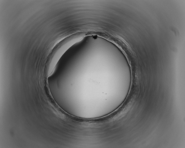 X0000113901065200910081824