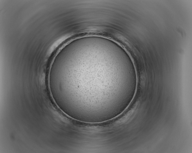 X0000113901066200910081824