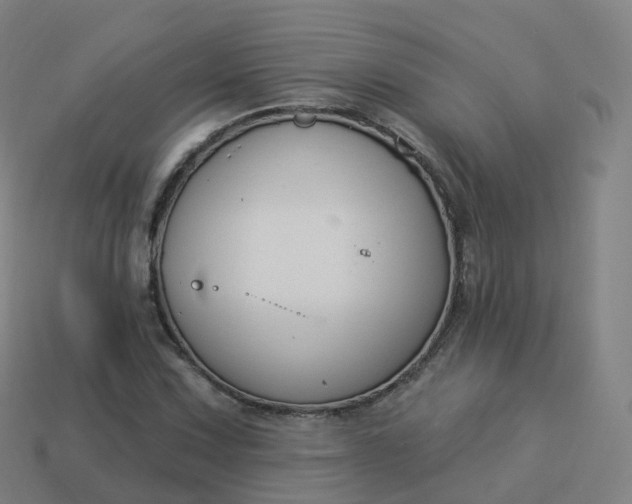 X0000113901067200910081824