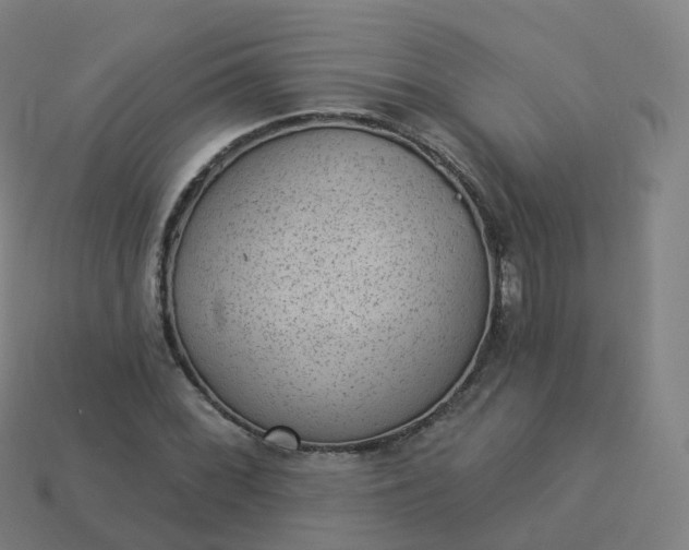 X0000113901068200910081824