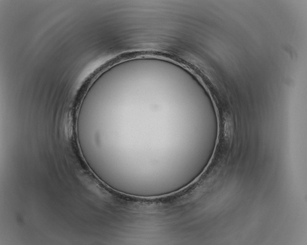 X0000113901069200910081824