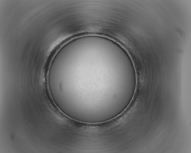 X0000113901070200910081824