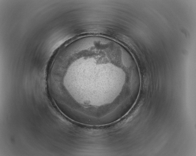 X0000113901071200910081824