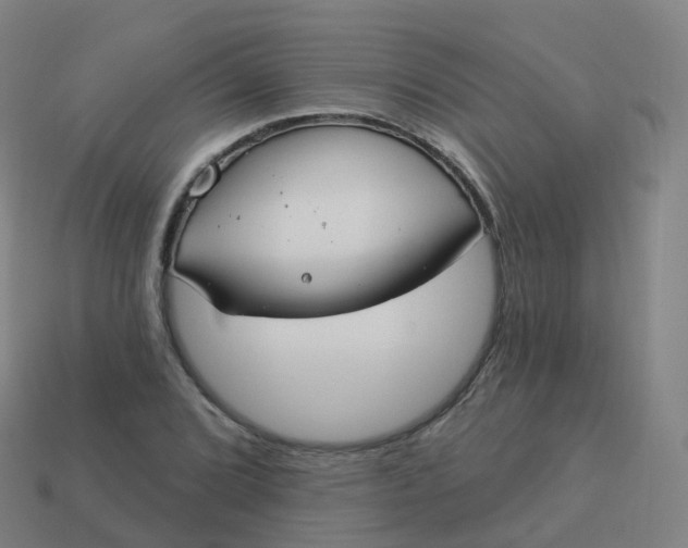 X0000113901072200910081824