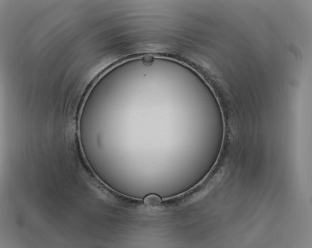 X0000113901073200910081824