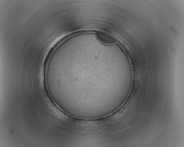 X0000113901076200910081824