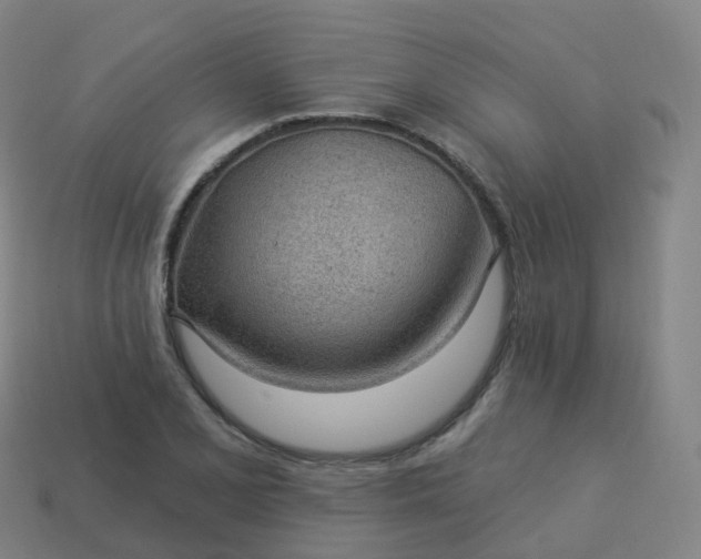 X0000113901077200910081824