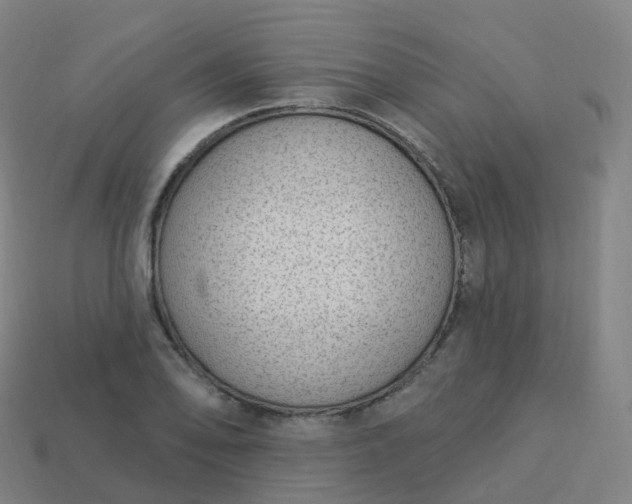 X0000113901078200910081824