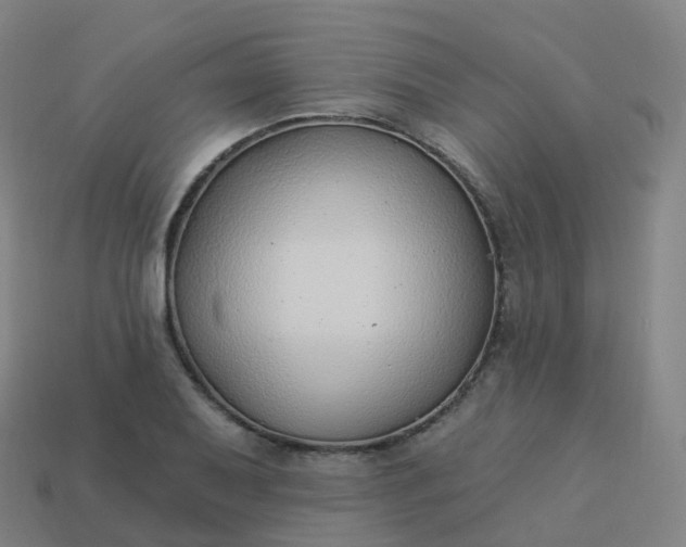 X0000113901079200910081824