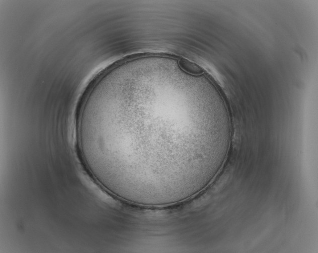 X0000113901080200910081824