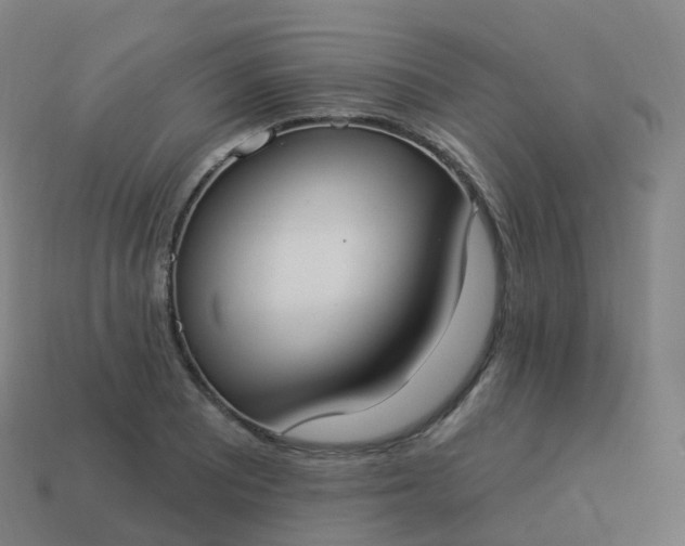 X0000113901081200910081824