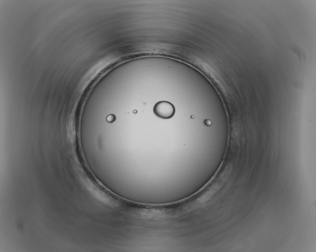 X0000113901082200910081824