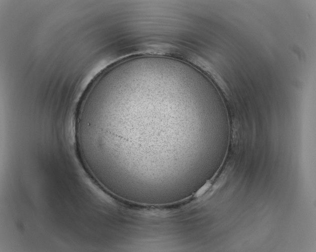 X0000113901083200910081824